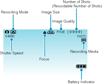 Indications during still image recording