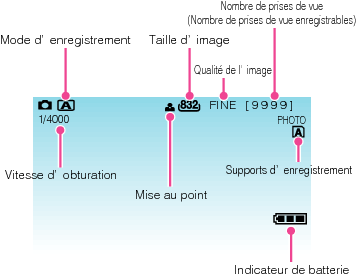 Indications during still image recording