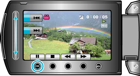 Pause Playback Video