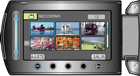 Select the desired video