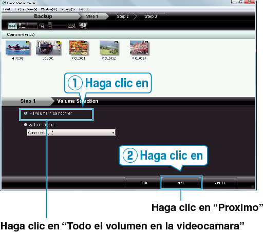 All volume in camcorder