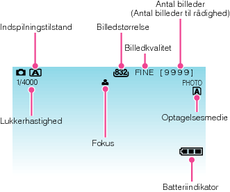 Indications during still image recording