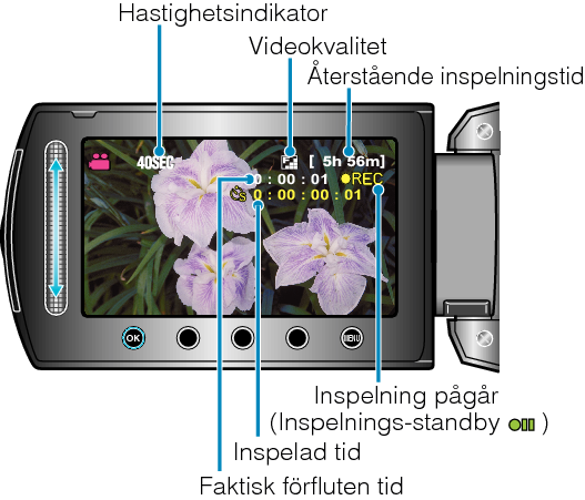 Indications During Time-Lapse Recording
