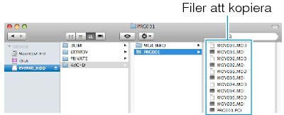 Copy files