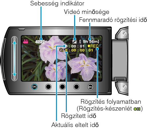 Indications During Time-Lapse Recording