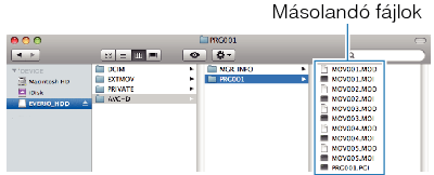 Copy files