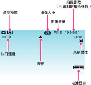 Indications during still image recording