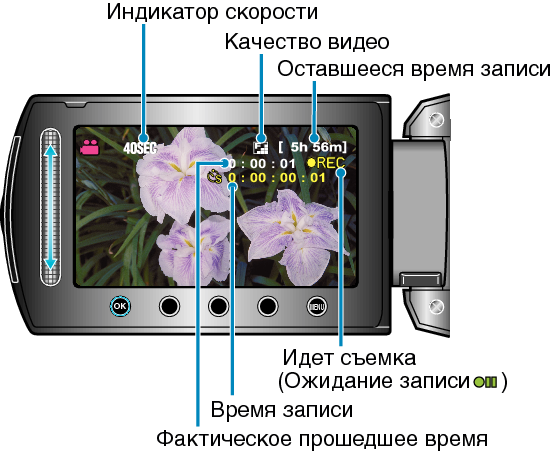 Indications During Time-Lapse Recording
