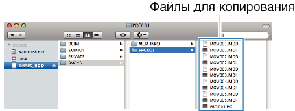 Copy files