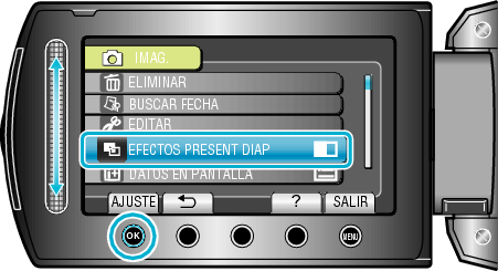 SLIDE SHOW EFFECTS