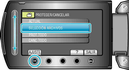 ProtectSelect1_menu3