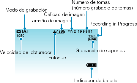 Indications during still image recording
