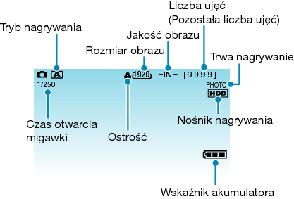 Indications during still image recording