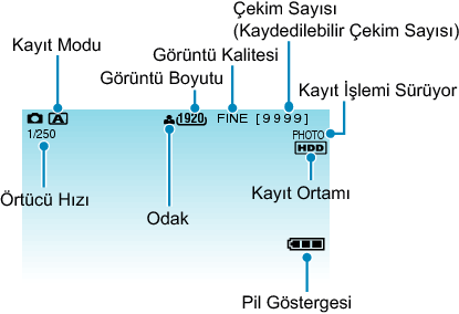 Indications during still image recording