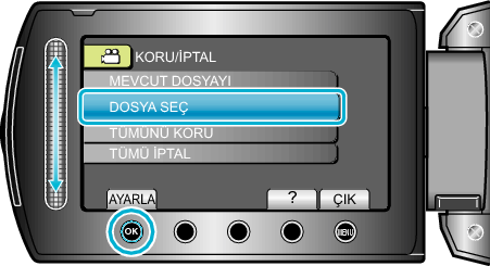 ProtectSelect1_menu3