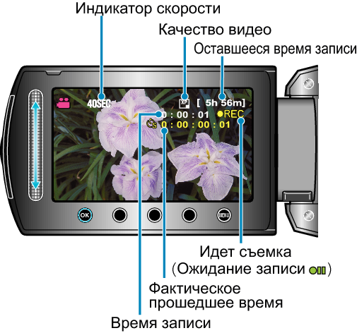 Indications during time-lapse recording
