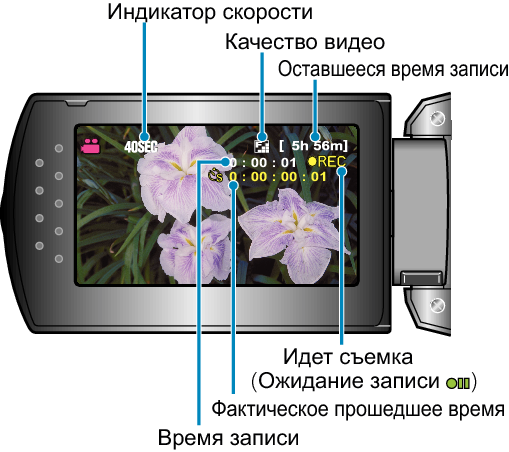 Indications During Time-Lapse Recording