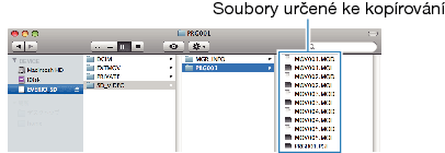 Copy files
