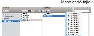 Copy files
