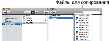 Copy files