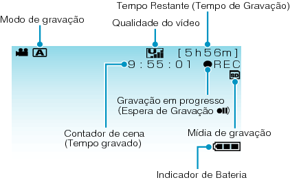 Indications During Video Recording