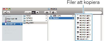 Copy files