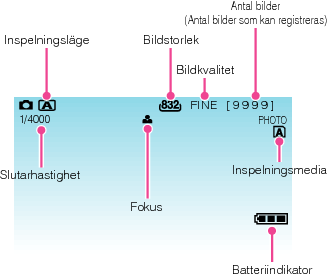 Indications during still image recording