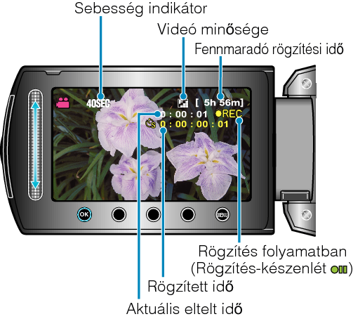 Indications During Time-Lapse Recording