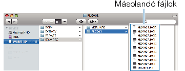 Copy files