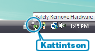 Removing USB device safely