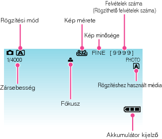 Indications during still image recording