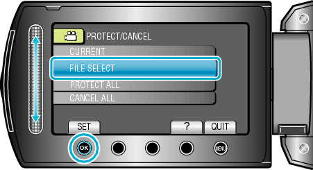 ProtectSelect1_menu3