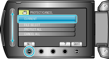 ProtectOne1_menu3