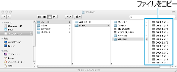 ファイルをコピー