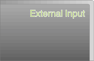 External Input