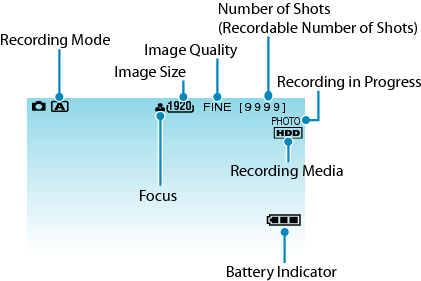 Indications during still image recording