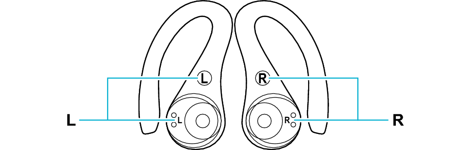 ear_LR_EC25T