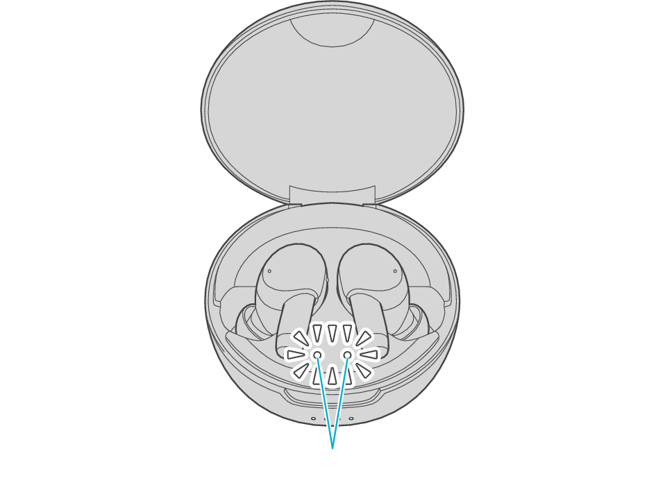 Indicators_for_earphones_FW5000T + Indicators_for_earphones_FW5000T