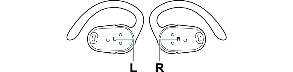 ear_LR_NP40T