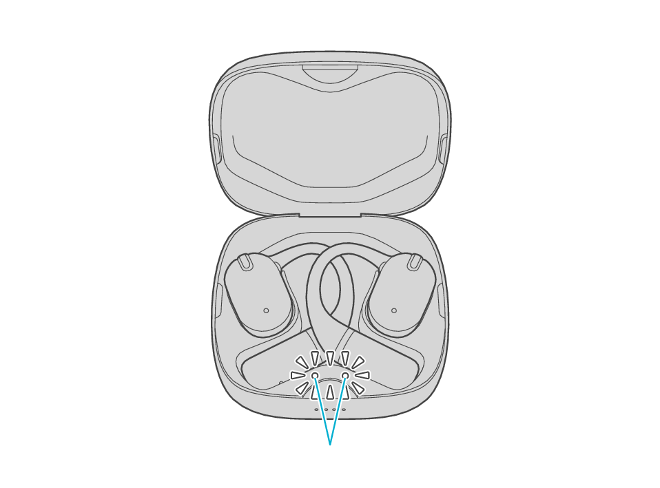 Indicators_for_earphones_NP80T + Indicators_for_earphones_NP80T