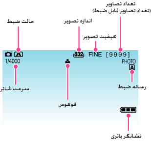 Indications during still image recording