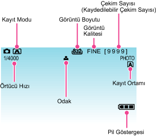 Indications during still image recording