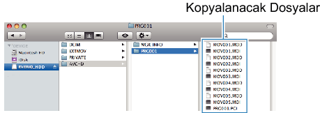 Copy files