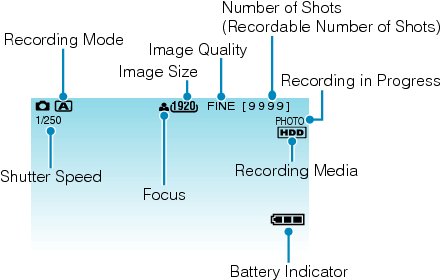 Indications during still image recording