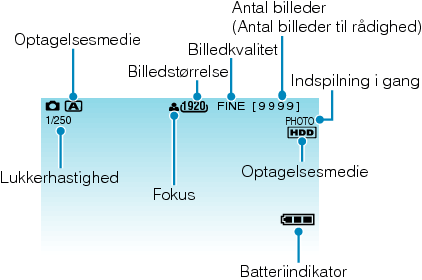 Indications during still image recording