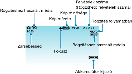 Indications during still image recording