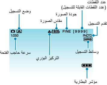 Indications during still image recording
