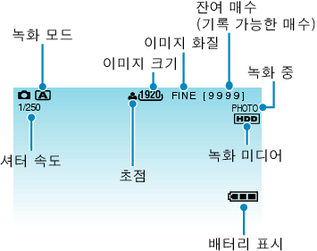 Indications during still image recording