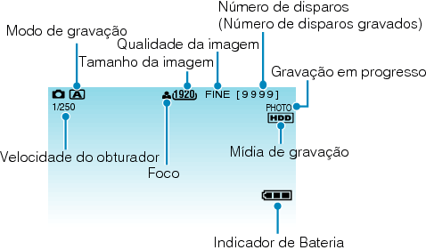 Indications during still image recording