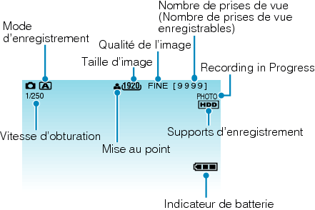 Indications during still image recording